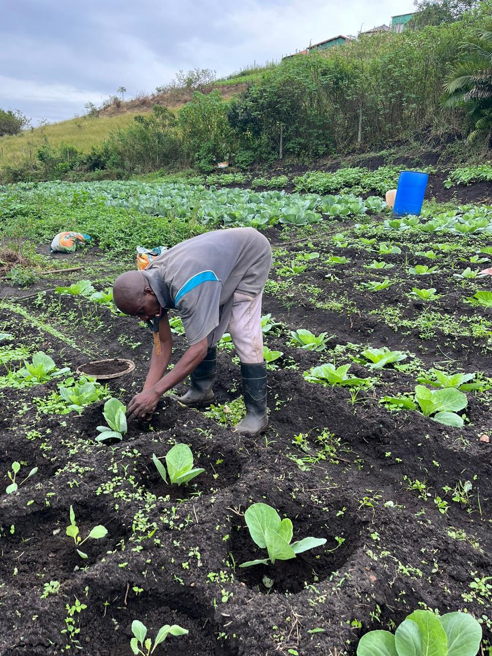 Sustainable Food Security